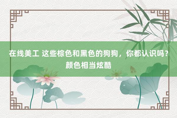 在线美工 这些棕色和黑色的狗狗，你都认识吗？颜色相当炫酷