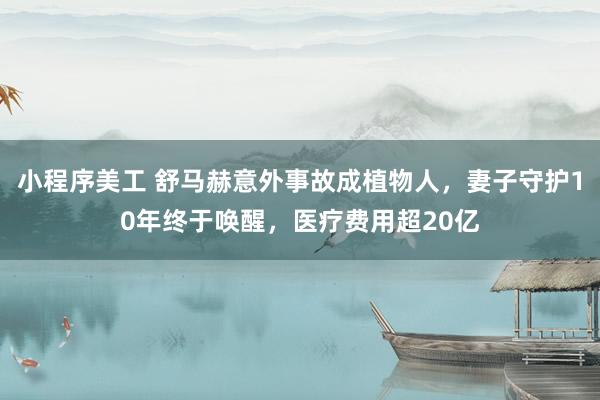 小程序美工 舒马赫意外事故成植物人，妻子守护10年终于唤醒，医疗费用超20亿