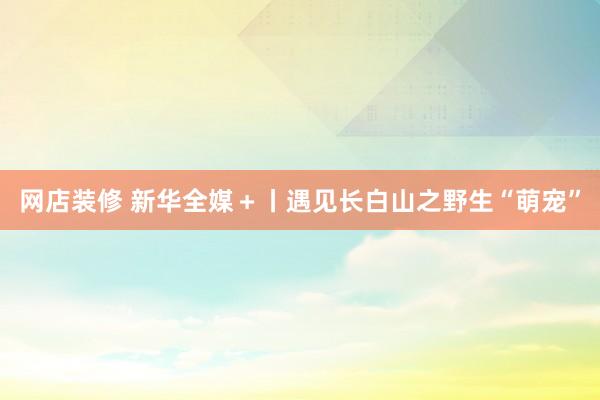 网店装修 新华全媒＋丨遇见长白山之野生“萌宠”