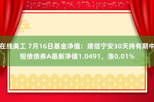 在线美工 7月16日基金净值：建信宁安30天持有期中短债债券A最新净值1.0491，涨0.01%